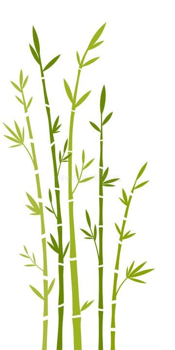 Bamboo stock vector. Illustration of branch, pink, background - 6343727 Bamboo Illustration, Bamboo Vector, Bamboo Drawing, Bamboo Painting, Trees Illustration, Bamboo Trees, Element Illustration, Tree Icon, School Murals