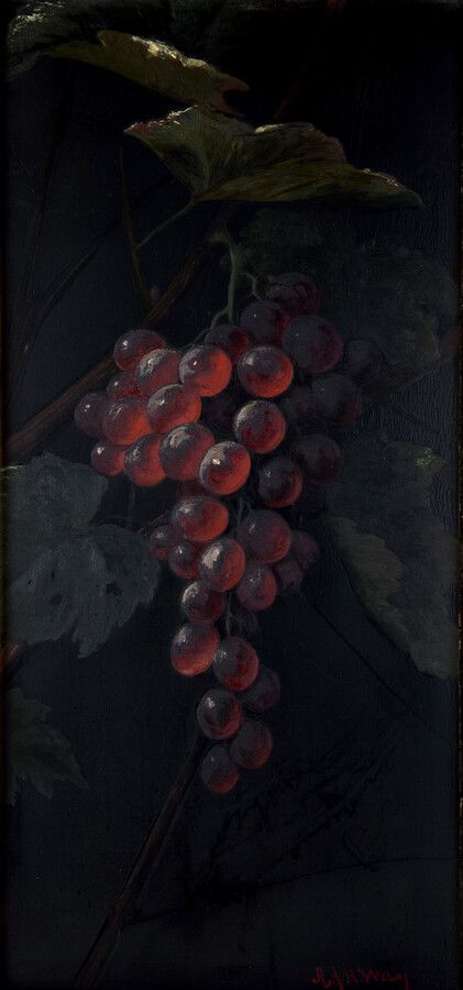 Grape Aesthetic, Grapes Aesthetic, Grape Orchard, Dionysus Aesthetic, Aqua Regia, Goblin Market, Vineyard Art, Art Medieval, Grape Vineyard