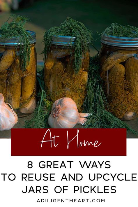 8 Great Ways to Reuse and Upcycle Jars of Pickles #AtHome #athome #food Types Of Pickles, Upcycle Jars, Reuse Jars, Dish Cleaning, Best Pickles, Pickled Cucumbers, Growing Hydrangeas, Kitchen Design Inspiration, Pickle Juice