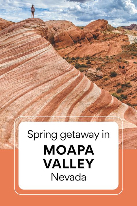 Spring is the perfect time to explore southern Nevada's Moapa Valley, where the Valley of Fire State Park, Lost City Museum, Lake Mead, and the Moapa Valley National Wildlife Refuge wow nature, geology, and history lovers. 🐇🐟 🌿🏜️#moapavalley #springbreak Moapa Valley Nevada, Lake Mead Nevada, Valley Of Fire State Park, Spring Getaway, Nevada Travel, Warm Springs, Lake Mead, Virginia City, Spring Travel