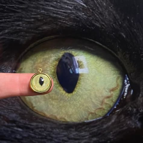 Cat Eye Jewelry, Iris Ring, Coraline Aesthetic, Custom Eyes, Jewelry Details, 4 Pm, Eye Ring, Birthday Wishlist, Cat Necklace