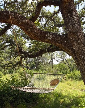 Terrasse Design, Hill Country Homes, Texas Homes, Texas Hill Country, Home Reno, Hill Country, Dream Garden, Country Life, Country Living