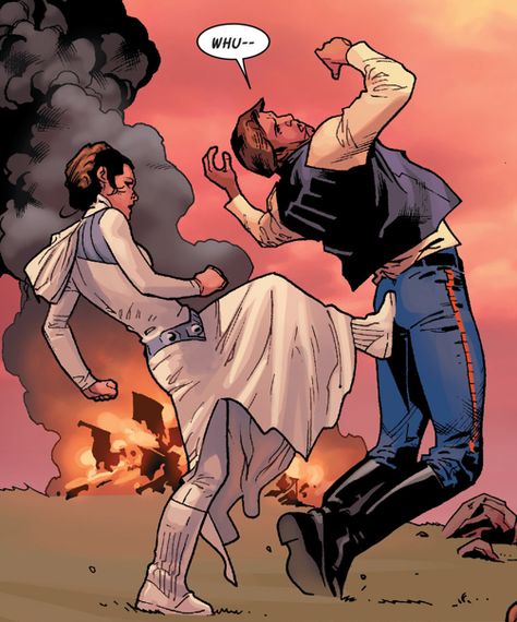 Star Wars: Princess Lela kicking Han Solo's butt... literally! Han Solo Fanart, Star Wars Couples, Star Wars Meme, Anakin Vader, Ladies Man, Han And Leia, Counting Stars, Star Wars Comics, Star Wars Artwork