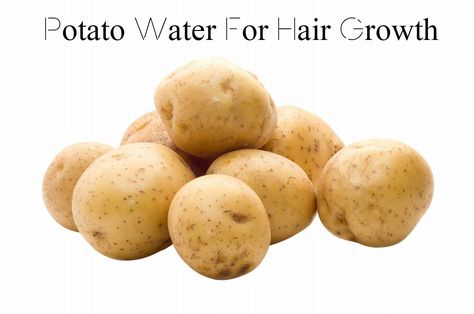 Potato Water For Hair Growth - A Scalp And Hair Recipe  Read the article here - http://www.blackhairinformation.com/growth/hair-growth/potato-water-for-hair-growth-a-scalp-and-hair-recipe/ Potato Water, Harvest Potatoes, National Potato Day, Garden Knowledge, Potato Growing, Potato Bin, Wheat Belly Recipes, Crazy Kitchen, Raw Potato