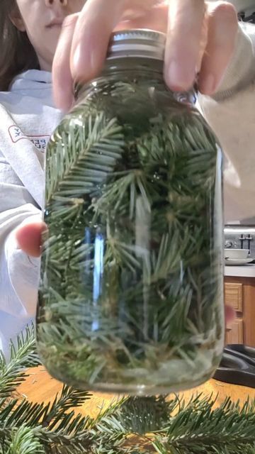 Scented Vinegar, Pine Sol, Vinegar Cleaner, In A Dark Place, Christmas Tree Trimming, Christmas Tree Scent, Christmas Branches, Pine Leaf, Dream Property