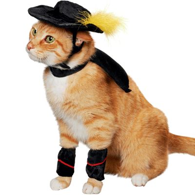 Cute Pet Halloween Costumes:   Want to involve your precious pets in the Halloween festivities? Chat Halloween, Cat Halloween Costume, Pet Halloween Costumes, Animal Costumes, Orange Cats, Dog Halloween Costumes, Cat Dresses, Dog Costumes, Halloween Animals