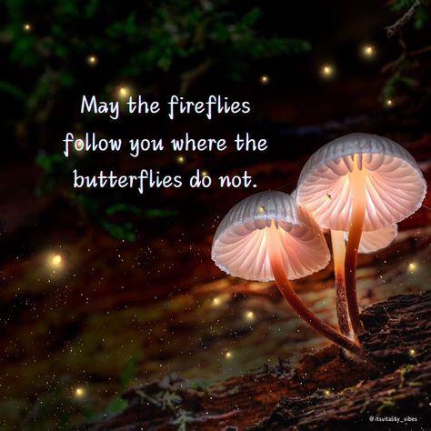 🌟✨ "May the fireflies follow you where the butterflies won't." ✨🌟 In moments when life feels heavy and the path ahead seems unclear, remember that hope often shines brightest in the darkest times. Just as fireflies light up the night, there is a resilient spark within you that will guide you through even the most challenging journeys. Where the bright and beautiful butterflies may not tread, the humble and persistent fireflies will be your companions, illuminating your way with their gentl... Life Feels Heavy, Feels Heavy, Hope Strength, Firefly Lights, Light Up The Night, Bright And Beautiful, Follow You, Firefly, Beautiful Butterflies