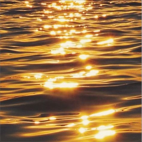 Golden Water Aesthetic, Gold Water Aesthetic, Ocean Golden Hour, Inner Alchemy, Golden Lake, Water Sunset, Tropical Painting, Water Aesthetic, Gold Beach