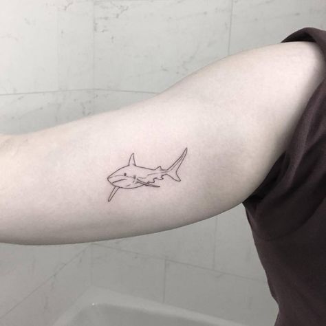 Shark tattoo on the right inner arm. Simple Shark Tattoo, Small Shark Tattoo, Shark Tattoo Ideas, Shark Tooth Tattoo, Hai Tattoo, Wörter Tattoos, Tooth Tattoo, Small Shark, Shark Tattoo