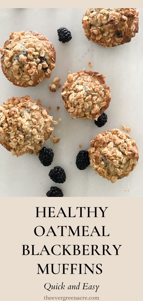 Blackberry Healthy Recipes, Blackberry Oatmeal Muffins, Whole Grain Breakfast Ideas, Healthy Blackberry Recipes, Blackberry Muffins Healthy, Oatmeal Blackberry, Blackberry Muffins Easy, Protein Muffins Recipes, Blackberry Breakfast