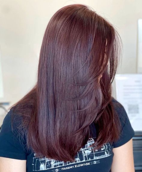 Gorgeous Cherry Red Shades for Bold Hair Lovers Cobre Hair, Cinnamon Hair Color, Hair Color For Morena Skin, Cherry Brown Hair, Hair Color For Morena, Cinnamon Hair Colors, Hair Color For Brown Skin, Brown Hair Ideas, Skin Tone Hair Color