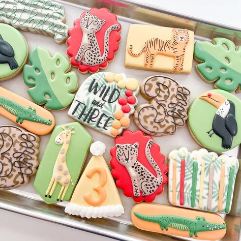 Wild And Three Cookies, Young Wild And Three Cookies, Young Wild And Three, Cookie Ideas, Third Birthday, Birthday Cookies, Decorated Cookies, 3rd Birthday, Cookie Decorating