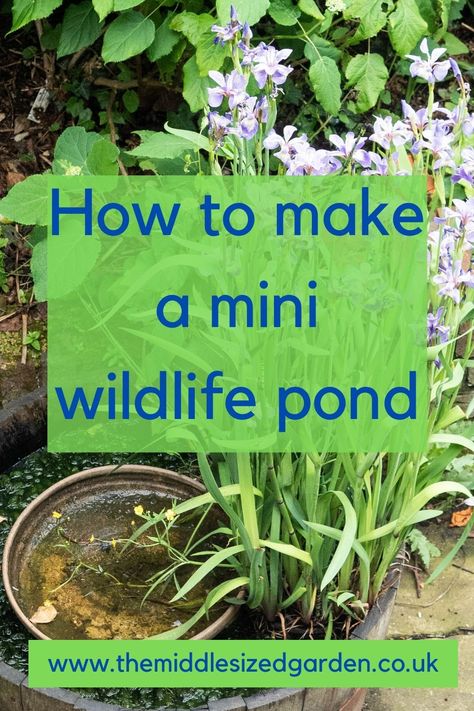 Container Pond, Small Water Gardens, Wildlife Pond, Beautiful Pond, Ponds For Small Gardens, Mini Pond, Container Water Gardens, Taman Air, Building A Pond