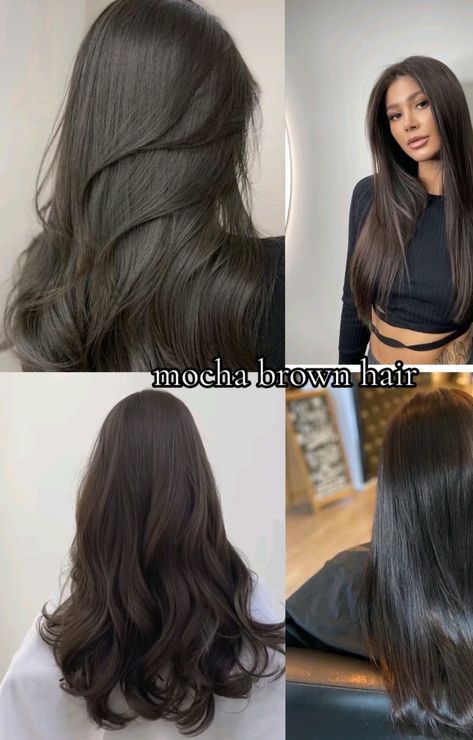 Different Types Of Dark Brown Hair, Dark Brown Hair With Cool Undertones, Cool Dark Brown Hair Color Pale Skin, Warm Toned Dark Brown Hair, Black Tea Hair Color, Dark Cool Tone Brown Hair, Cool Toned Dark Brown Hair, Elegant Hair Color, Espresso Brown Hair Color