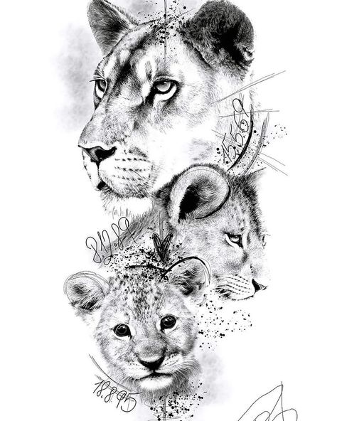 TATTOO MOTIVE (RESERVED) #tattoo #tattoostudio #blackbee #blackbeetattoo #woman #womantattoo #inked #ink #tattoolove #tattooforever… | Instagram Mom And Son Animal Tattoo, Lioness And Cubs Tattoo Mothers, Safari Tattoo, Lioness And Cub Tattoo, Lion Cub Tattoo, Tattoo Leo, Lioness Tattoo Design, Lion Art Tattoo, Mama Tattoo