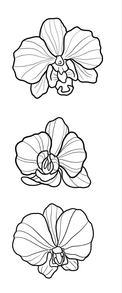 Orchid Tattoo Stencil, Orchid Stencil, Orchid Outline, Orchid Drawing, Flor Tattoo, Simple Flower Drawing, Flowers Orchids, Orchid Tattoo, Circuit Ideas