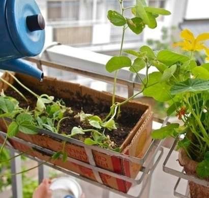 Shoe Box Diy, Cardboard Box Diy, Carton Diy, Diy Postcard, Garden Boxes Raised, Amazon Box, Diy Planter, Diy Planter Box, Wooden Planter Boxes