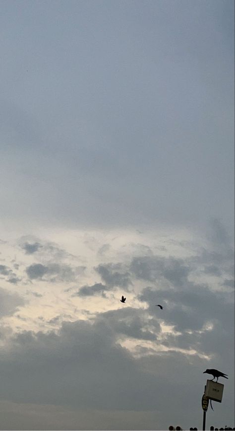 Monsoon Sky, Monsoon Clouds, Birds In The Sky, The Sky, Birds, Quick Saves