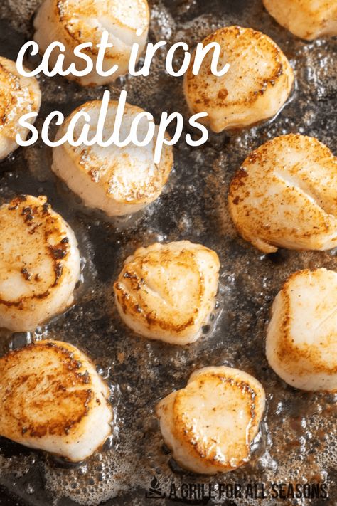 There aren't many things more delicious than a perfectly seared scallop. Cooking cast iron scallops are a sure way to deliver flavor and texture with each bite. You are sure to enjoy this easy to make recipe. How To Cook Scallops In Cast Iron, Scallops In Cast Iron Skillet, Cast Iron Scallops, Seared Scallops Cast Iron, Searing Scallops, Broil Recipes, How To Make Scallops, Scallops Recipes, Cast Iron Skillet Recipes Dinner