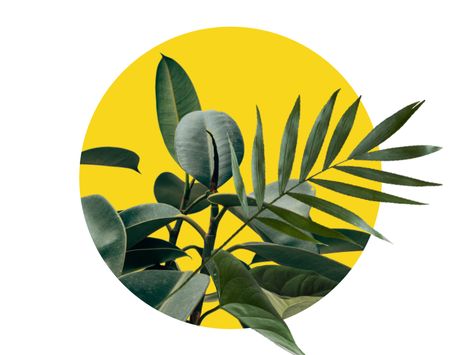 Collage - Plants by Ashley | Dribbble | Dribbble Plants Illustration Art, Collage Plants, Art A Level, Plants Collage, Plant Collage, Plants Illustration, Collage Drawing, Flower Collage, Art Tumblr