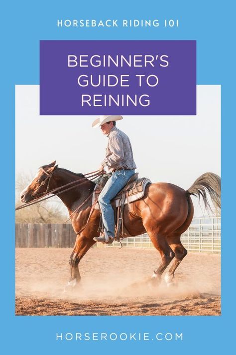 Reining is a great place to start your western horse riding career. Learn about some of the basic concepts of reining, the tips and maneuvers that are most common and how the scoring system works. Understanding what the judges are looking for gives you a template on what exercises to train with your horse. Western Horse Training, Reining Horses Training, How To Ride A Horse Western, Western Pleasure Riding, Western Horse Riding, Horse Training Exercises, Horse Ownership, American Quarter Horse Association, Horseback Riding Tips