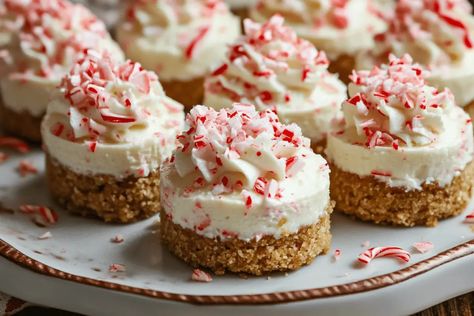 Candy Cane Mini Cheesecakes, No Bake Peppermint Cheesecake Bites, Peppermint Cheesecake Bites, Mini Peppermint Cheesecake, Mini Christmas Cheesecakes, Christmas Cheesecake, Peppermint Cheesecake, Christmas Cheese, Cheesecake Cups