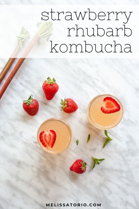 Rhubarb Kombucha Recipe, Watermelon Kombucha, Herb Extract, Fermented Drinks, Kombucha Flavors, Kombucha Scoby, How To Brew Kombucha, Kombucha Recipe, Homebrew Recipes