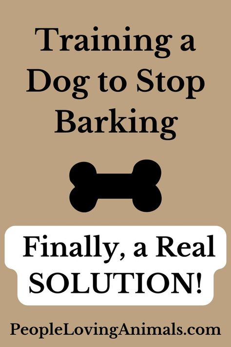 Training a Dog to Stop Barking Training A Dog, Stop Dog Barking, Dog Behavior Training, Dog Behavior Problems, Potty Training Puppy, Dog Training Advice, Dog Brain, Dog Training Techniques, Calm Dogs