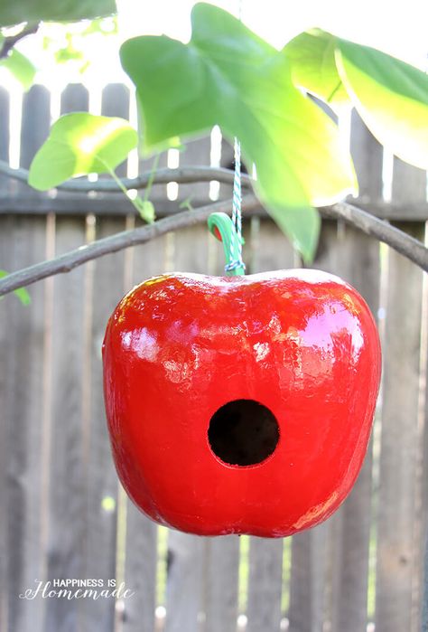 Camping Craft Ideas, Apple Gourd, Gourd Bird Houses, Bird Houses For Sale, Gourds Diy, Camping Craft, Birdhouse Gourds, Gourd Birdhouses, Bird Craft