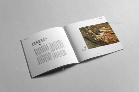 Square Book Layout Design Inspiration, Square Page Layout, Square Magazine Design, Square Portfolio Layout, Square Book Cover Design, Square Book Layout Design, Square Booklet Design, Square Magazine Layout, Square Book Design