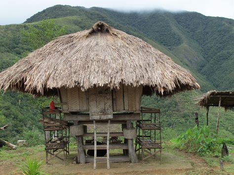 MAYLAY  Traditional Ifugao hut on the Banaue Rice Terraces of Ifugao, Philippines  [photo ©Mary Jane dela Cruz/FAO] Ifugao House, Mountain Ecosystem, Banaue Rice Terraces, Filipino Architecture, Primitive Houses, Banaue, Bahay Kubo, Ancient Chinese Architecture, African House