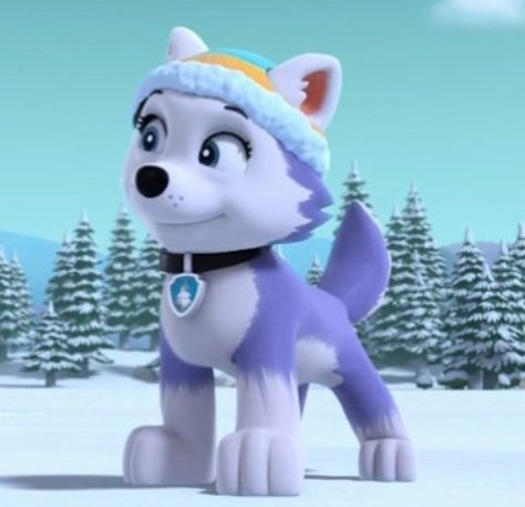 Paw Patrol All Pups, Paw Patrol Aesthetic, Cauliflower Gravy, Paw Patrol Everest, Paw Patrol Costume, Paw Patrol Movie, Dibujos Toy Story, Psi Patrol, Paw Patrol Skye