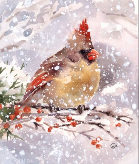 Watercolor Cardinal, Cardinal Watercolor, Watercolor Lessons, Watercolor Pictures, Cardinal Bird, Realistic Paintings, Winter Art, Christmas Snow, Watercolor Inspiration