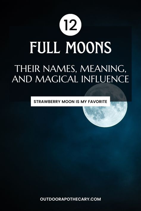 Meaning Of Full Moon, Monthly Moon Names, Monthly Full Moon Names, Full Moon Names And Meanings, October Moon Phases, Full Moon Meaning, December Full Moon, February Full Moon, Moon Information