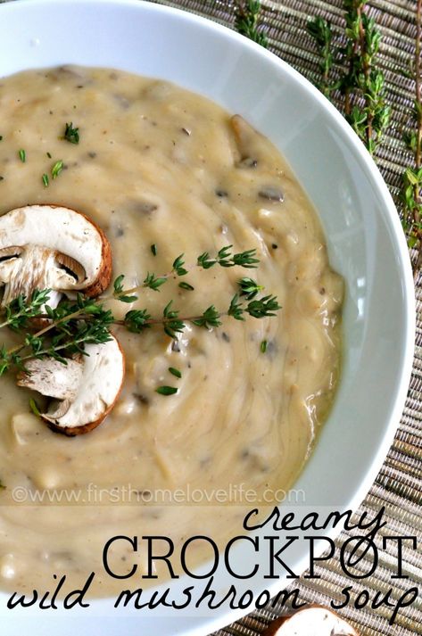 Creamy Crockpot Wild Mushroom Soup Mushroom Crockpot, Soup Mushroom, Wild Mushroom Soup, Shitake Mushrooms, Crockpot Soup, Favorite Soups, Rice Chicken, Wild Mushroom, Crock Pot Soup