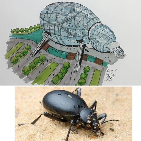 30 Of The Most Impressive Architectural Ideas Inspired By Simple Everyday Objects (New Pics) Biomimicry Architecture, Architectural Ideas, Architecture Drawing Plan, Concept Models Architecture, Interior Architecture Drawing, Architect Drawing, Conceptual Architecture, Spatial Design, Architecture Design Sketch