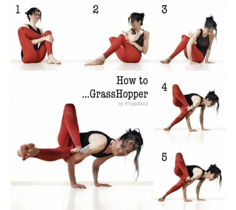 How to grasshopper pose Hata Yoga, Arm Balance, Yoga Goals, Yoga Nature, Yoga Poses Advanced, Arm Balances, Yoga Techniques, Yoga Iyengar, Advanced Yoga