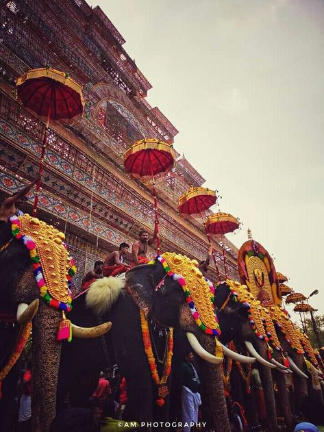 Thrissur Pooram Photography, Onam Aesthetic, Kerala Elephant, Thrissur Pooram, Kerala Festival, Beaches Aesthetic, Mera Bharat Mahan, South Indian Culture, Kerala Art