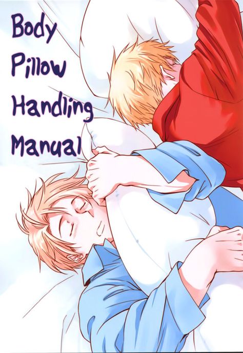 image Bottom America Hetalia, Usuk Doujinshi, Aushun Hetalia, Hetalia Sealand And England, Hetalia Doujinshi, Hetalia Usuk Doujinshi, Body Pillow, Hetalia, Pillows