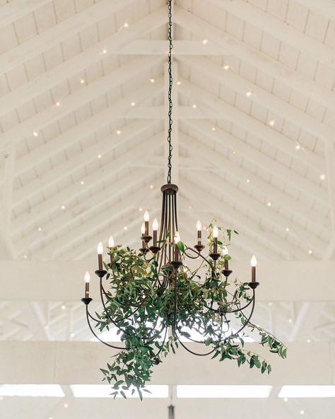 #cedarwoodweddings Cedarwood Weddings on Instagram: “Dream big with us | 📷: @juliepaisleyphotography | Venue, Floral, Planning: @cedarwoodweddings” Greenery On Chandelier Wedding, Greenery On Chandelier, Greenery Chandelier Wedding, Chandeliers With Greenery, Chandelier With Greenery, Chandelier Greenery, Wedding Card Suitcase, Chandelier Flowers, Chandelier Floral