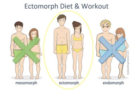 Ectomorph Diet And Workout Workout For Ectomorph, Ectomorph Meal Plan, Ectomorph Women Workout, Ectomorph Workout For Women, Ectomorph Women Meal Plan, Ectomorph Workout Men, Ectomorph Women, Ectomorph Diet, What's My Body Type