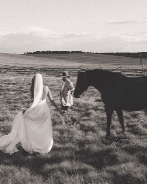 ZION NATIONAL PARK WEDDING & ELOPEMENT VENUE IDEA⛰️🥾🏜️🤠 I don’t know if y’all heard, but country is cool again. Just in time to plan your dreamy mountain ranch micro-wedding on the beautiful Zion Mountain Ranch property @zionmountainranch In the eastern mountains of Zion National Park, sits an authentic western destination that features not only premier Zion National Park lodging, but is the unique home of a roaming herd of buffalo. What better place to share an intimate wedding experience... Country Wedding Unique, Cowboy Wedding Aesthetic, Farm Elopement, Midwestern Wedding, Wedding Horses, Western Mountain Wedding, Wedding Horse, Wedding In Mountains, Western Wedding Venues