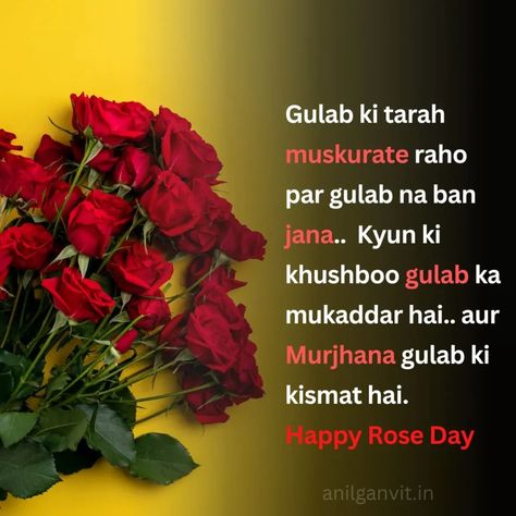 Friends, by the way Rose day can be celebrated by anyone. But these are some special days for the lovers. We also call rose day as rose day, on this day lovers wish their girlfriend or boyfriend by giving them rose flowers. It depends on the color of the rose flower that to whom we have to give these flowers Rose Day Shayari For Boyfriend, Rose Day Lines For Boyfriend, Happy Rose Day Bestie, Rose Day Wishes For Boyfriend, Rose Day Wishes For Girlfriend, Rose Day Quotes For Girlfriend, Rose Day Status, Rose Day Shayari, Love Sayri