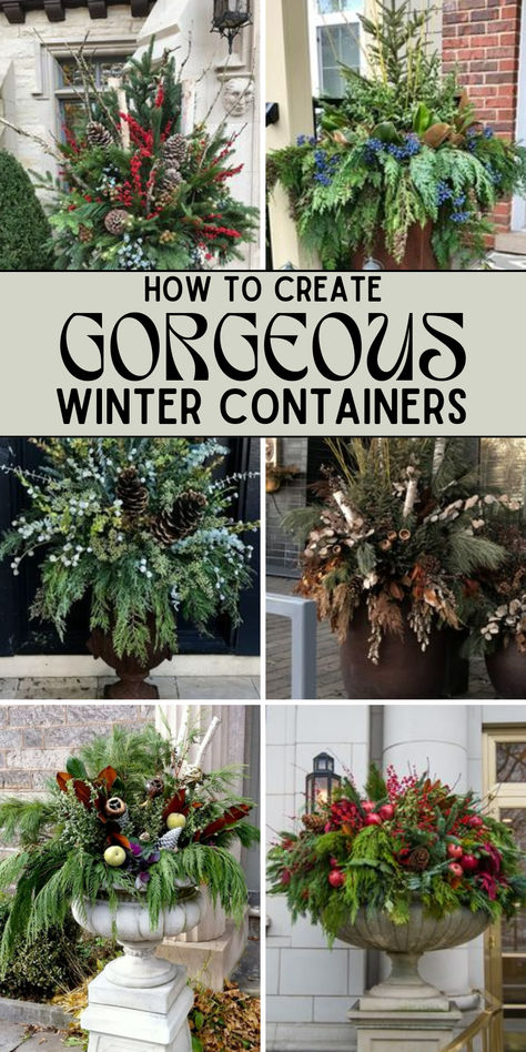 Your guide to winter container ideas is here! Decorating with plants and foliage is possible, even in the winter. Here are tons of ideas and inspiration to help you create stunning winter containers that will make your home festive this season. Winter Outside Decor Pots & Planters, Large Flower Pot Christmas Decor, Winter Pots Outdoor Front Doors Modern, Winter Flower Boxes Front Porches, Outdoor Winter Arrangements Planters, Winter Garden Box Ideas, Winter Container Ideas, Christmas Landscape Ideas, Winter Planter Ideas Flower Pots Outdoor Christmas