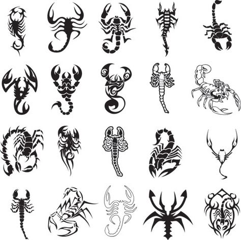 Different scorpion tattoo ideas Scorpio Tattoos, Scorpion Tattoos, Scorpio Zodiac Tattoos, Infected Tattoo, Leo Constellation Tattoo, Henne Tattoo, Scorpio Art, Tier Tattoo, Tattoo Schrift