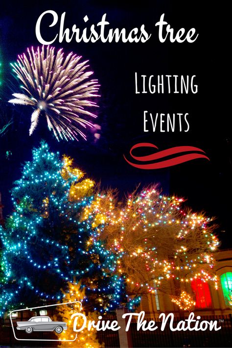 Let us tell you all about the best spots across the country to catch some Christmas tree lighting events. Christmas Tree Lighting Event Ideas, Christmas Tree Lighting Ceremony, Christmas Tree Lighting Event, Christmas Tree Festival, Christmas Planning, Event Activities, Cool Christmas Trees, Tree Lighting, Christmas Tree Lighting