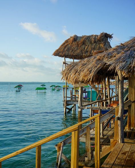 Sometimes, you just need a solo trip, and I think you should do it in Belize🇧🇿 I’m excited to share my eight-day solo adventure to Belize over the coming weeks. My goal for this trip was to explore beyond the Cayes and see what mainland Belize offers. I spent three days in San Ignacio, Hopkins, and San Pedro, which all provided unique experiences. I loved exploring the ruins and natural beauty in San Ignacio (though the heat was whewww). Still, Hopkins absolutely stole my heart—a smaller ... Belize Architecture, Hopkins Belize, Dangriga, Belize Food, Travel Belize, Belize Beach, Belize Resorts, Solo Adventure, Solo Trip