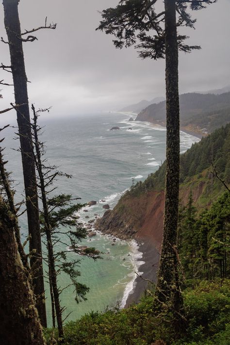 Section 2: Oswald West State Park to Tillamook River Bridge — Oregon Coast Trail Foundation Ecola State Park Oregon, Tillamook Oregon, Ecola State Park, Bay City, Walking Trails, Beach Walk, Sea Birds, Pacific Coast, Oregon Coast