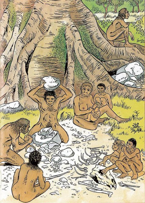 Human Evolution Tree, Homo Habilis, Prehistoric Age, Early Man, Black Folk Art, Prehistoric Man, Early Humans, Paleo Art, Animal Groups