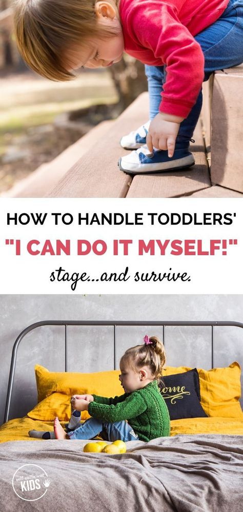 After being completely reliant on their parents for the majority of their young lives, toddlers want more than anything to demonstrate how capable and independent they are. This "I can do it myself stage." can be both a blessing and a bit of a curse. Here's how to support your toddler's independence while still maintaining your sanity. #parentingtoddlers #toddlerindependence I Can Do It Myself, Magic Transformation, Toddler Sleep Training, Independent Toddler, Toddler Bedtime, Time Magic, Parenting Boys, Raising Girls, Parenting Techniques